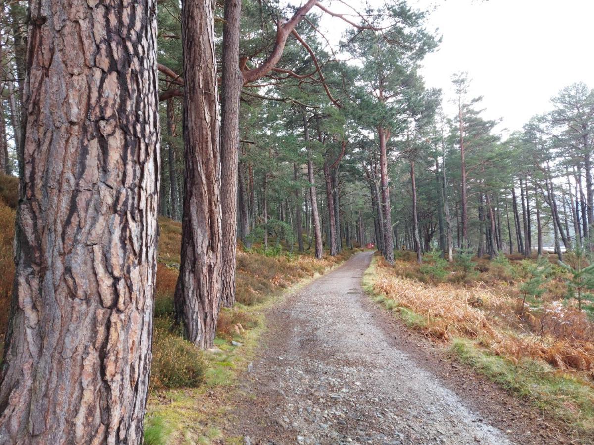 Holiday House Kinveachy Aviemore Εξωτερικό φωτογραφία