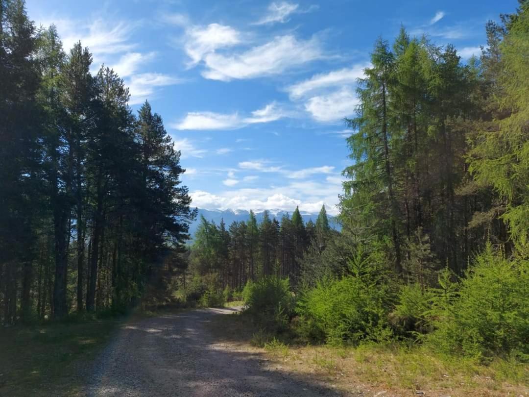 Holiday House Kinveachy Aviemore Εξωτερικό φωτογραφία