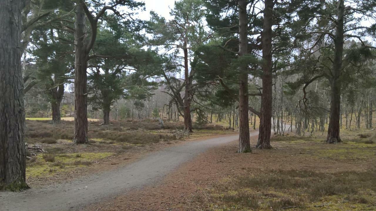 Holiday House Kinveachy Aviemore Εξωτερικό φωτογραφία